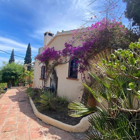 Antigua Finca De Ayo Y Karina Villa Frigiliana Eksteriør bilde