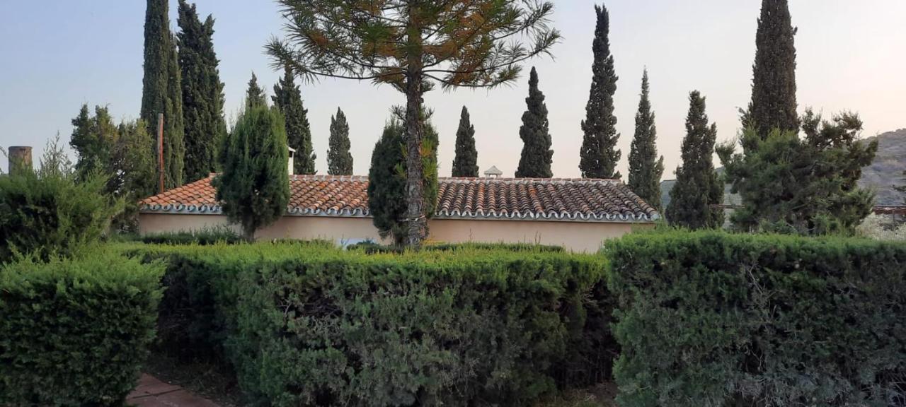 Antigua Finca De Ayo Y Karina Villa Frigiliana Eksteriør bilde