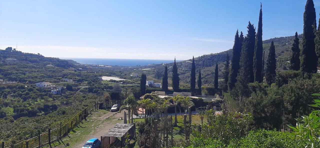 Antigua Finca De Ayo Y Karina Villa Frigiliana Eksteriør bilde