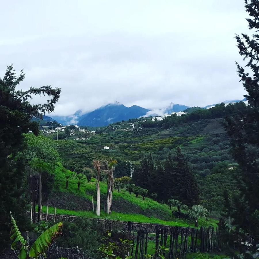 Antigua Finca De Ayo Y Karina Villa Frigiliana Eksteriør bilde